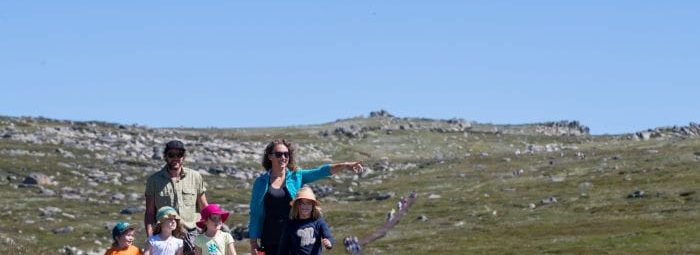 Mt Kosciuszko hike