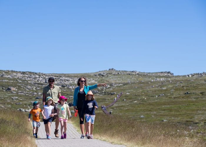 Mt Kosciuszko hike