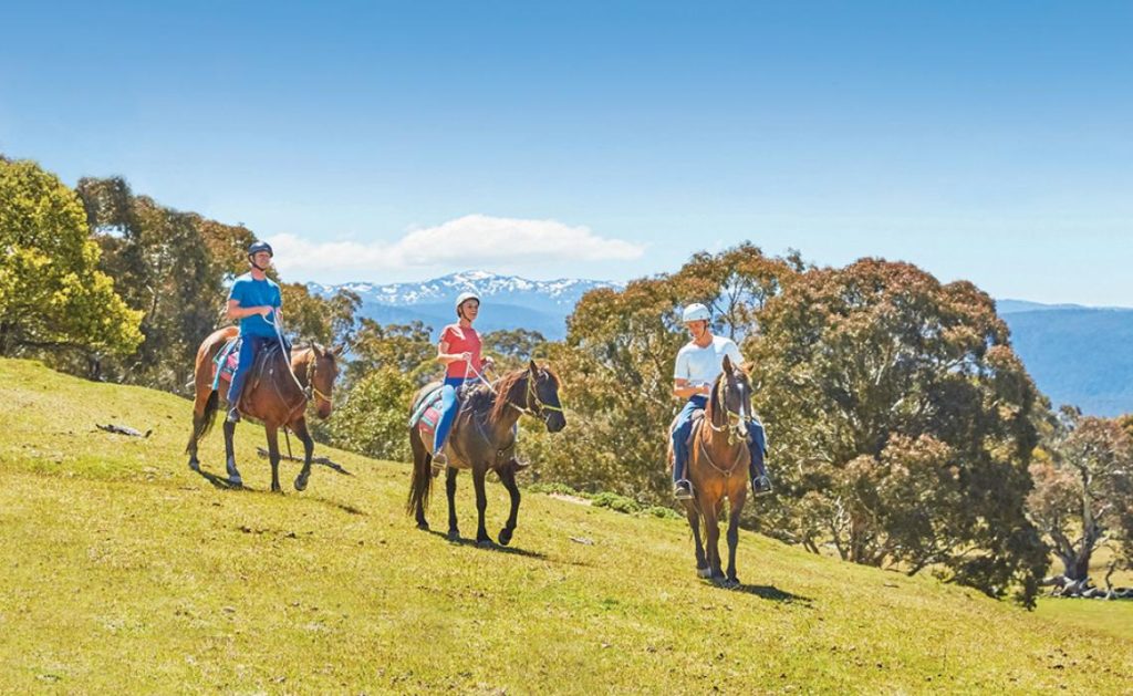 Horse riding in the Snowy Mountains.