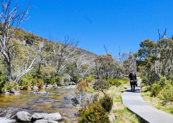 bushwalking thredbo riverside