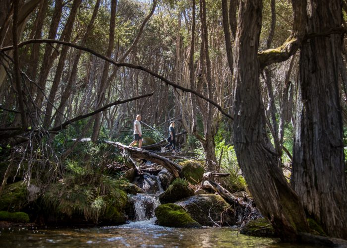 hiking nature track