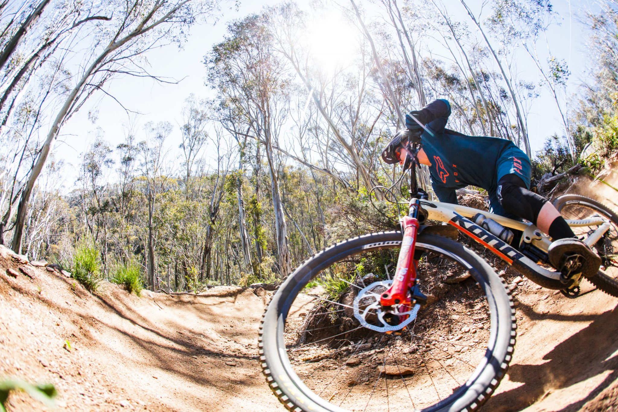 Summer MTB Events and Activities at Thredbo and Snowy Mountains region, Boali Lodge