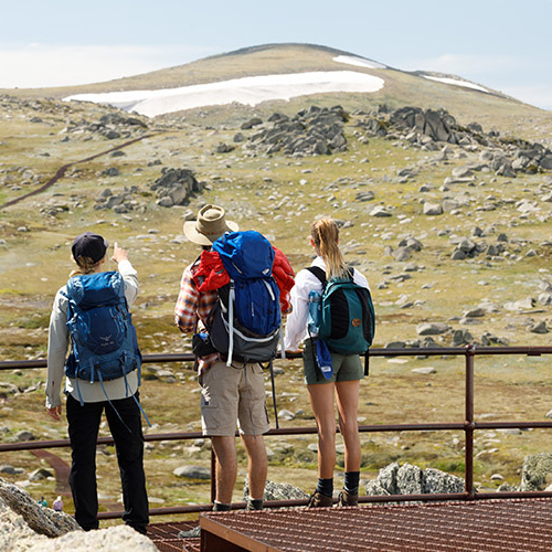 Summer Family Fun: A Guide to Family Holiday Activities Around Thredbo, Boali Lodge