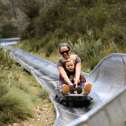 Summer Family Fun: A Guide to Family Holiday Activities Around Thredbo, Boali Lodge