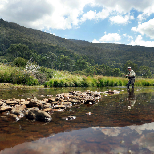 Summer Family Fun: A Guide to Family Holiday Activities Around Thredbo, Boali Lodge